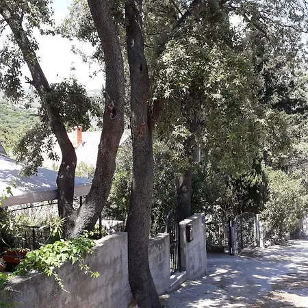 The Beautiful Position In Veliki Lejlighed Zaton (Dubrovnik-Neretva)