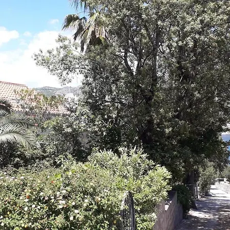 The Beautiful Position In Veliki Lägenhet *