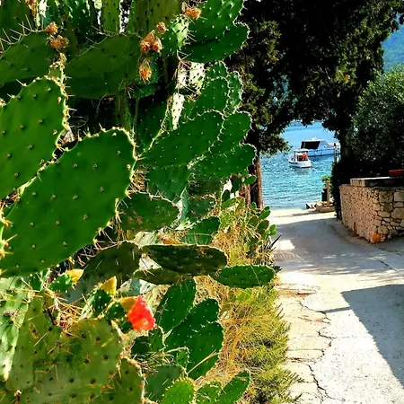 The Beautiful Position In Veliki Zaton (Dubrovnik-Neretva)