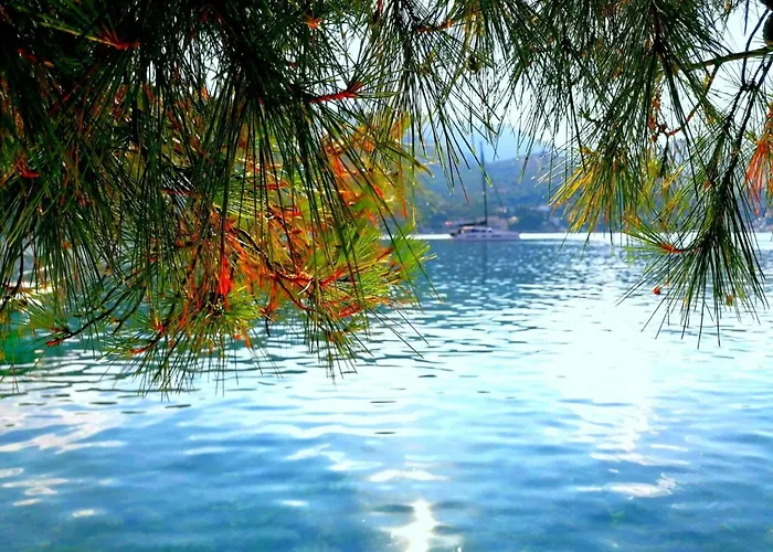 The Beautiful Position In Veliki アパート