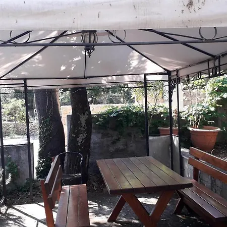 The Beautiful Position In Veliki Apartman Zaton