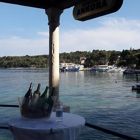 The Beautiful Position In Veliki Zaton (Dubrovnik-Neretva)