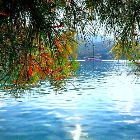 The Beautiful Position In Veliki Apartament