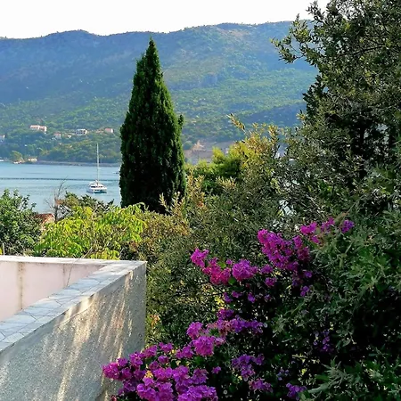 The Beautiful Position In Veliki Apartament