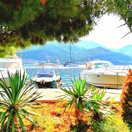 The Beautiful Position In Veliki