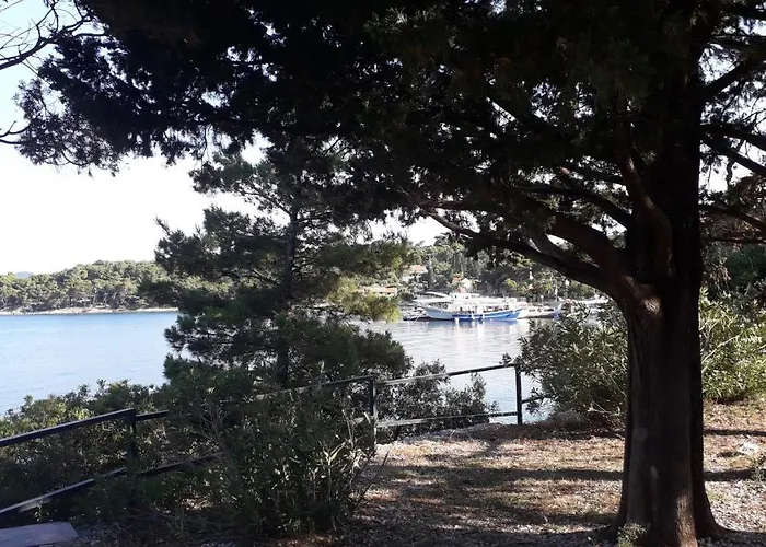 The Beautiful Position In Veliki زاتون