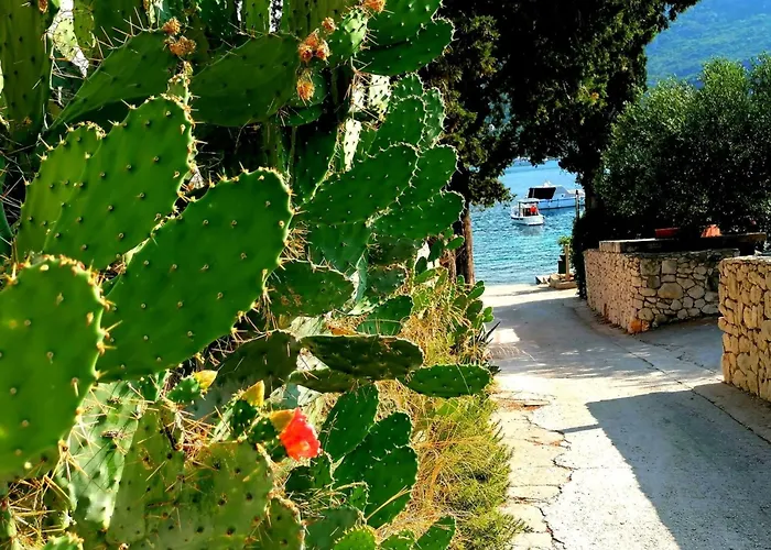 The Beautiful Position In Veliki زاتون