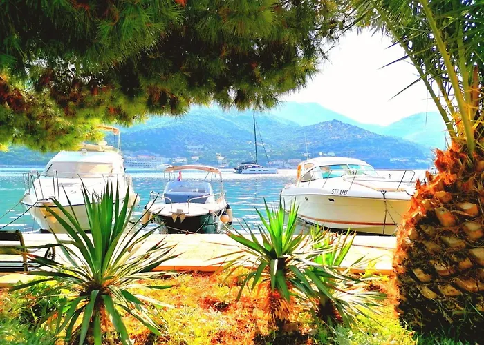 The Beautiful Position In Veliki