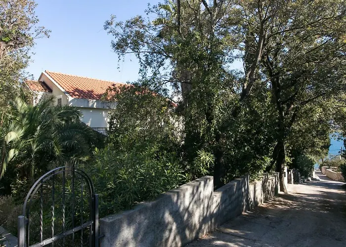 The Beautiful Position In Veliki *